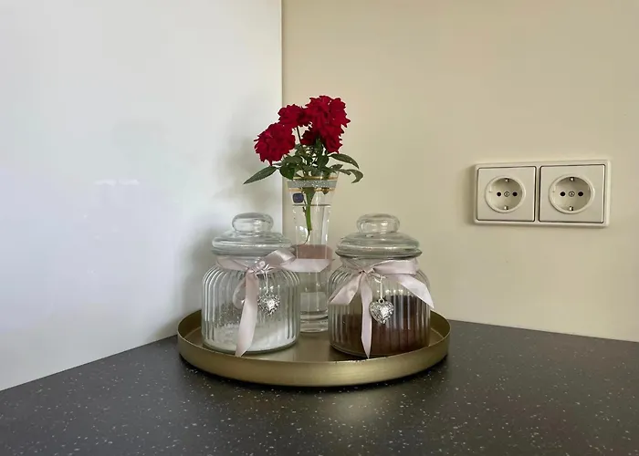 בית הארחה Aerodromas! Kunigiskiai פלאנגה