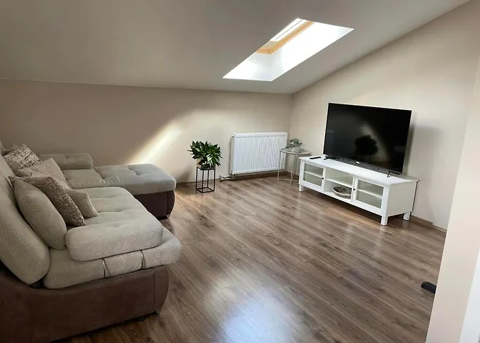 Aerodromas! Kunigiskiai בית הארחה