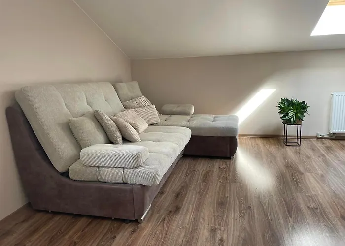 Aerodromas! Kunigiskiai בית הארחה פלאנגה